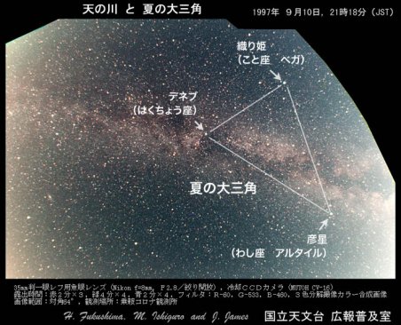 縮小夏の大三角.jpg